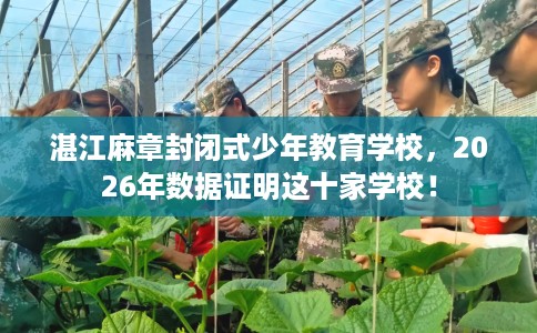 湛江麻章封闭式少年教育学校，2026年数据证明这十家学校！