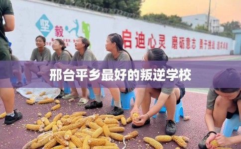 邢台平乡最好的叛逆学校