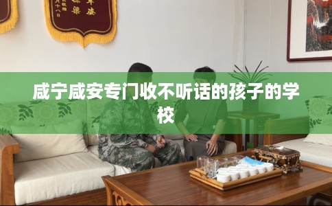 咸宁咸安专门收不听话的孩子的学校