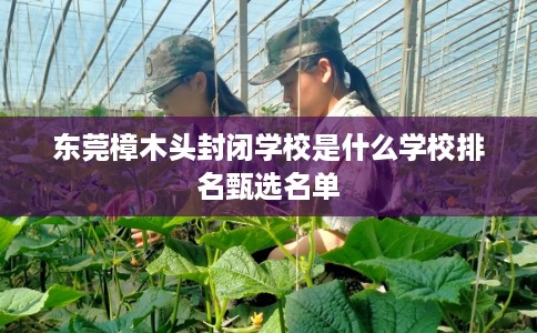 东莞樟木头封闭学校是什么学校排名甄选名单