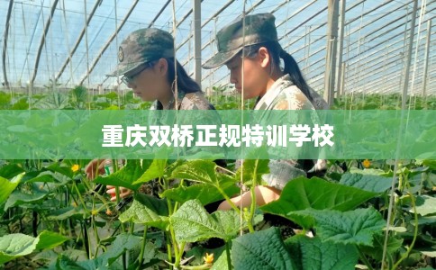 重庆双桥正规特训学校