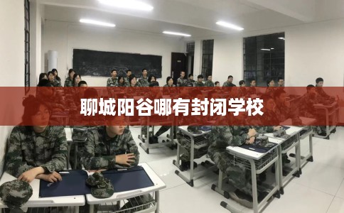 聊城阳谷哪有封闭学校