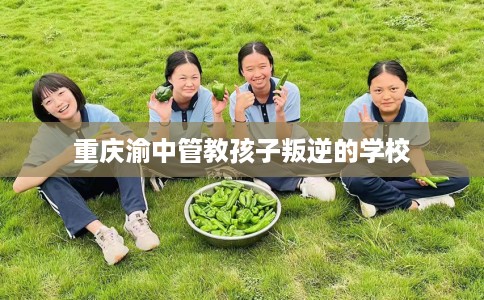 重庆渝中管教孩子叛逆的学校