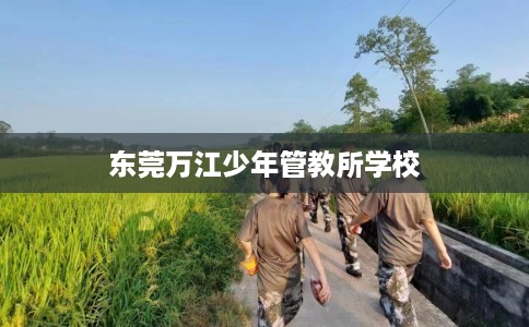 东莞万江少年管教所学校