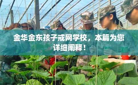 金华金东孩子戒网学校，本篇为您详细阐释！