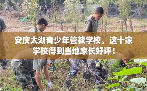 安庆太湖青少年管教学校，这十家学校得到当地家长好评！