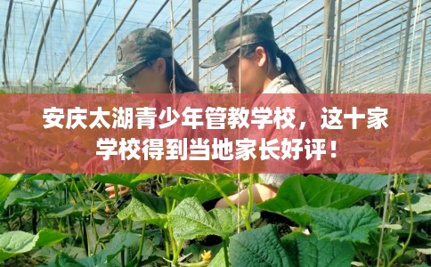 安庆太湖青少年管教学校，这十家学校得到当地家长好评！