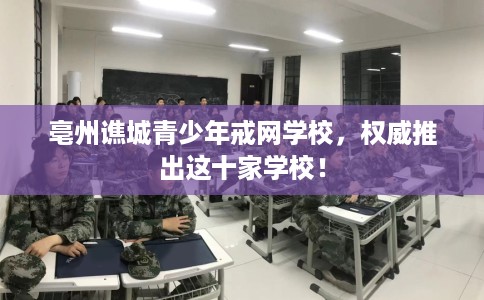 亳州谯城青少年戒网学校，权威推出这十家学校！