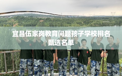 宜昌伍家岗教育问题孩子学校排名甄选名单