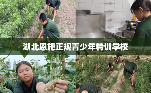 湖北恩施正规青少年特训学校