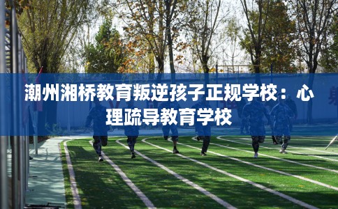 潮州湘桥教育叛逆孩子正规学校：心理疏导教育学校
