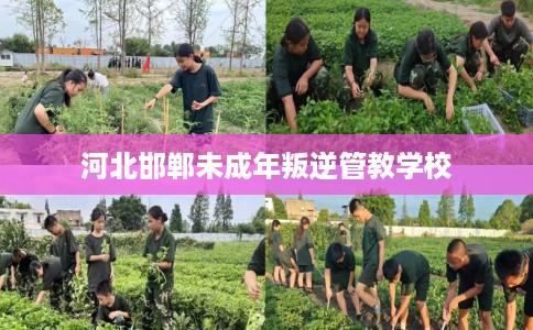 河北邯郸未成年叛逆管教学校 河北邯郸未成年叛逆管教学校