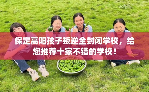 保定高阳孩子叛逆全封闭学校，给您推荐十家不错的学校！