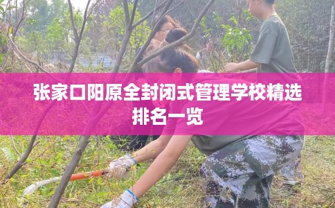 张家口阳原全封闭式管理学校精选排名一览