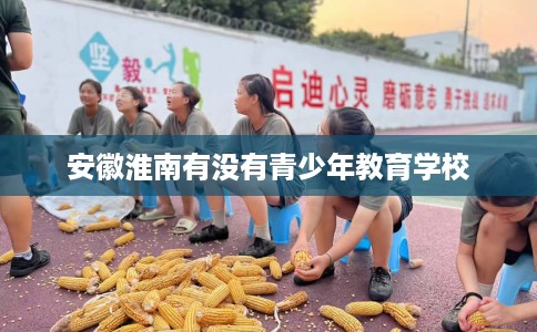 安徽淮南有没有青少年教育学校
