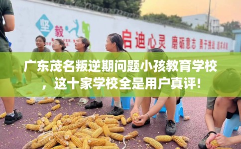 广东茂名叛逆期问题小孩教育学校，这十家学校全是用户真评!