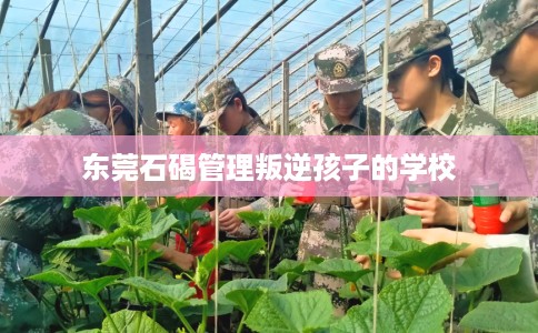 东莞石碣管理叛逆孩子的学校