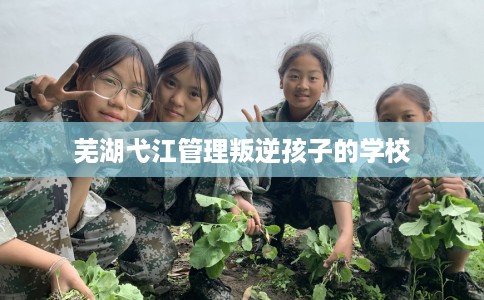 芜湖弋江管理叛逆孩子的学校