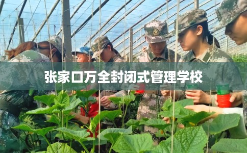 张家口万全封闭式管理学校