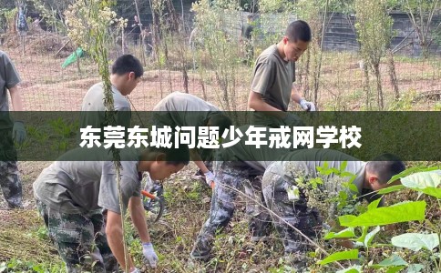 东莞东城问题少年戒网学校 东莞东城问题少年戒网学校