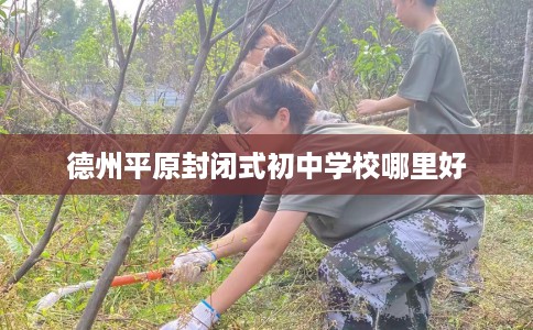 德州平原封闭式初中学校哪里好