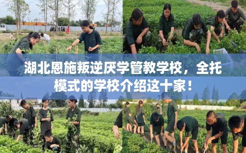 湖北恩施叛逆厌学管教学校，全托模式的学校介绍这十家！