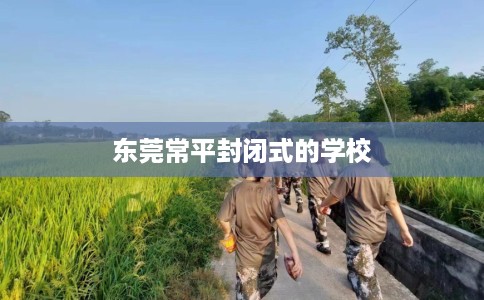 东莞常平封闭式的学校
