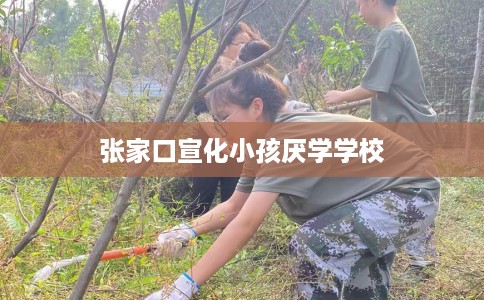 张家口宣化小孩厌学学校