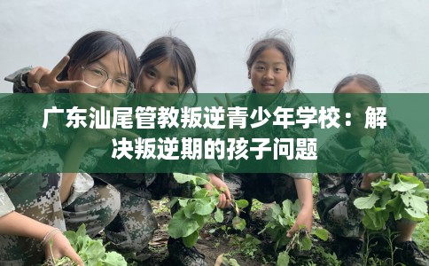 广东汕尾管教叛逆青少年学校:解决叛逆期的孩子问题 广东汕尾管教叛逆青少年学校:解决叛逆期的孩子问题