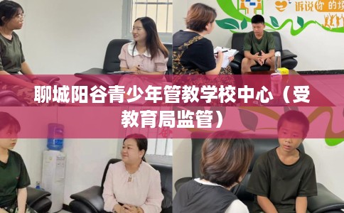 聊城阳谷青少年管教学校中心（受教育局监管）