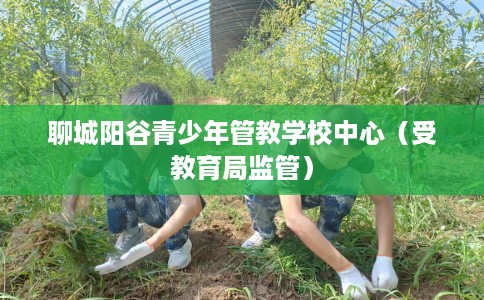 聊城阳谷青少年管教学校中心（受教育局监管）