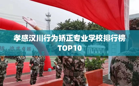 孝感汉川行为矫正专业学校排行榜TOP10