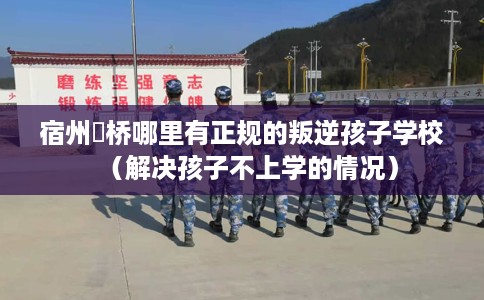 宿州埇桥哪里有正规的叛逆孩子学校（解决孩子不上学的情况）