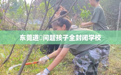 东莞道滘问题孩子全封闭学校 东莞道滘问题孩子全封闭学校