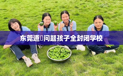东莞道滘问题孩子全封闭学校 东莞道滘问题孩子全封闭学校