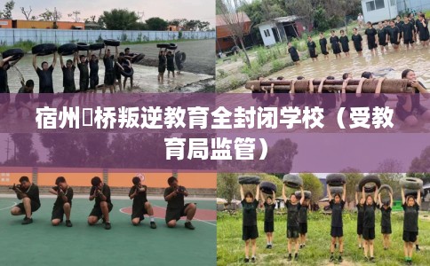 宿州埇桥叛逆教育全封闭学校（受教育局监管）