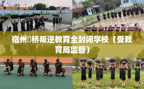 宿州埇桥叛逆教育全封闭学校（受教育局监管）