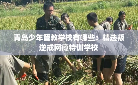 青岛少年管教学校有哪些：精选叛逆戒网瘾特训学校