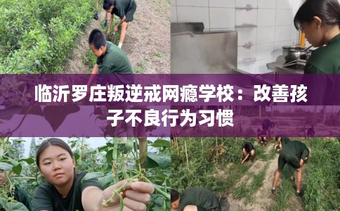 临沂罗庄叛逆戒网瘾学校：改善孩子不良行为习惯