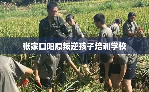 张家口阳原叛逆孩子培训学校