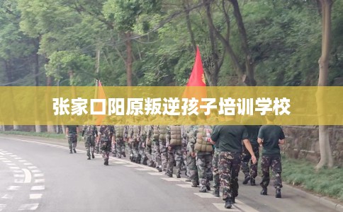 张家口阳原叛逆孩子培训学校