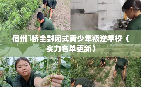 宿州埇桥全封闭式青少年叛逆学校（实力名单更新）