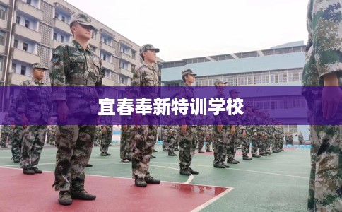 宜春奉新特训学校