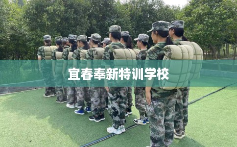 宜春奉新特训学校