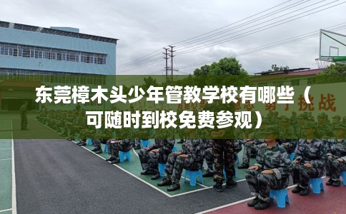 东莞樟木头少年管教学校有哪些（可随时到校免费参观）