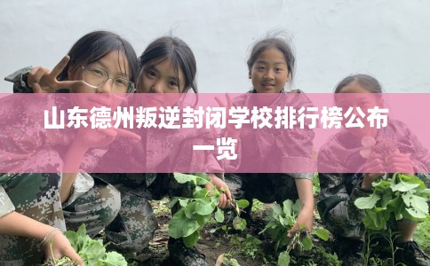 山东德州叛逆封闭学校排行榜公布一览