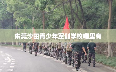 东莞沙田青少年军训学校哪里有