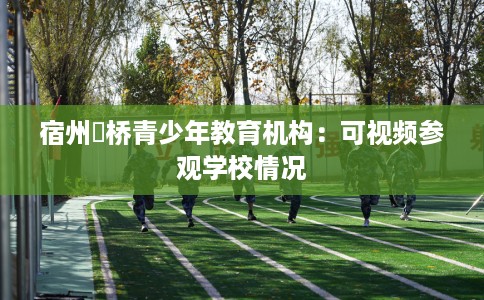 宿州埇桥青少年教育机构：可视频参观学校情况
