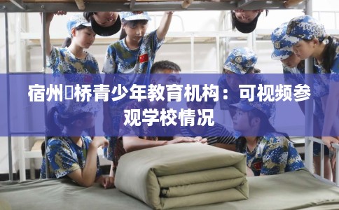 宿州埇桥青少年教育机构：可视频参观学校情况