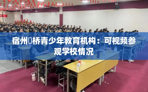 宿州埇桥青少年教育机构：可视频参观学校情况
